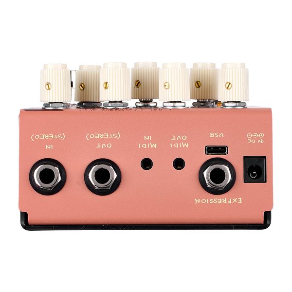 Old Blood Noise Endeavors Black Fountain Stereo Delay TE