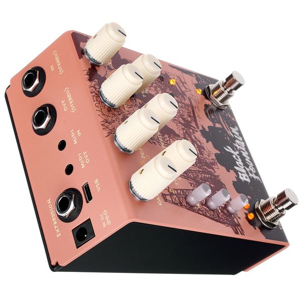 Old Blood Noise Endeavors Black Fountain Stereo Delay TE