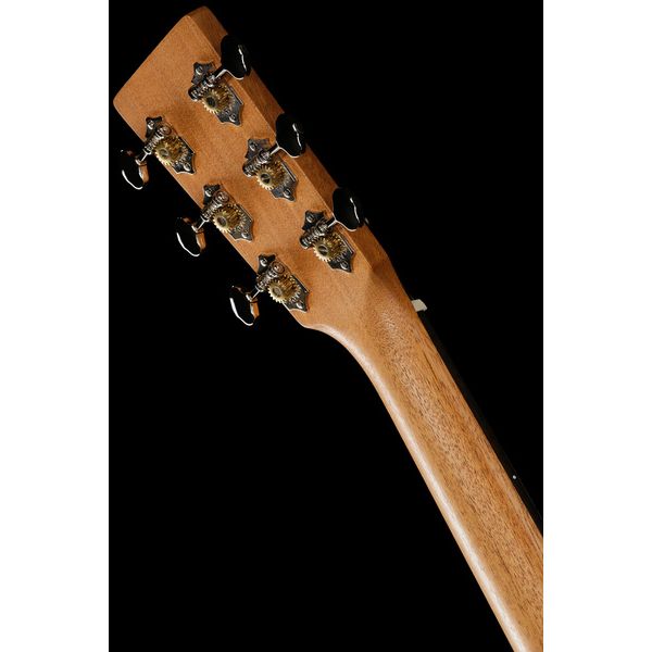 Martin Guitar D Biosphere III