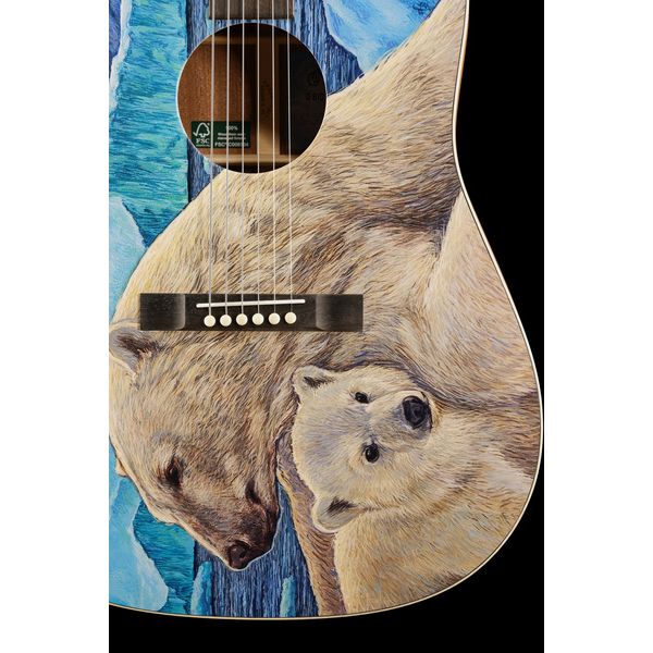 Martin Guitar D Biosphere III