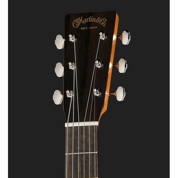 Martin Guitar D Biosphere III