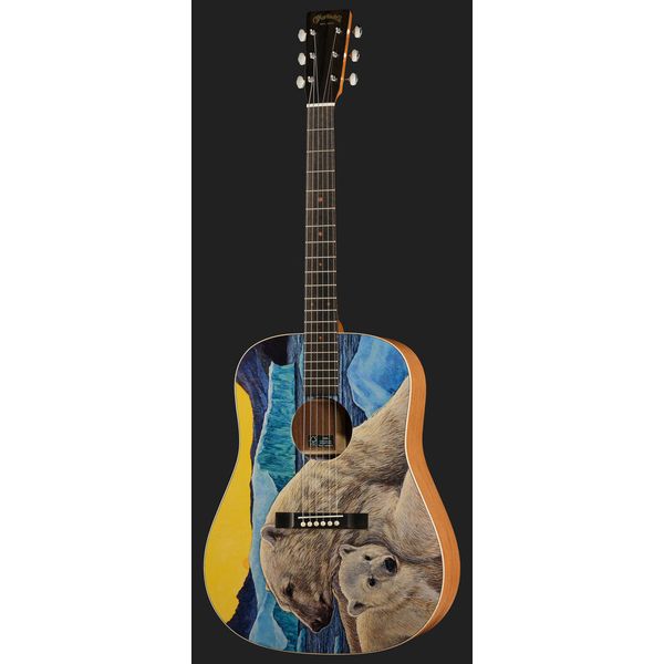 Martin Guitar D Biosphere III