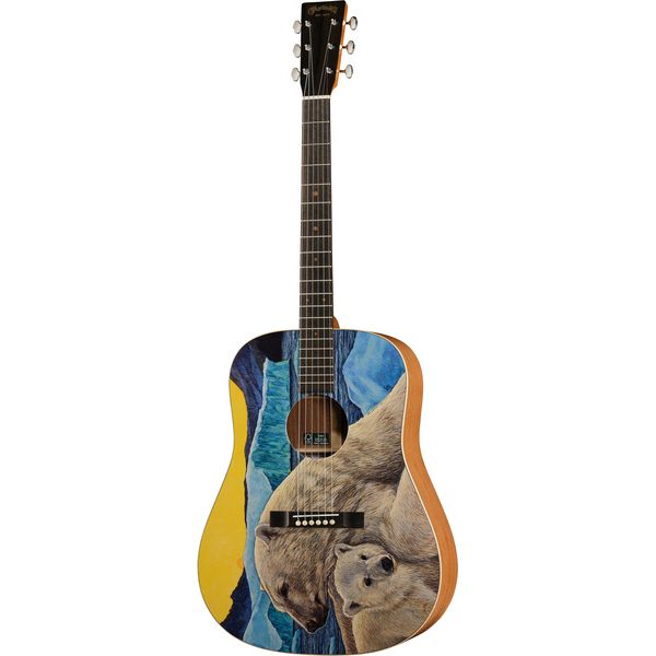 Martin Guitar D Biosphere III
