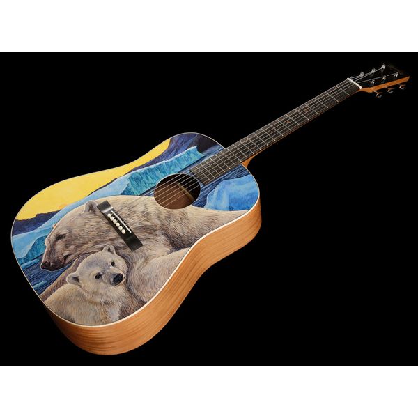 Martin Guitar D Biosphere III