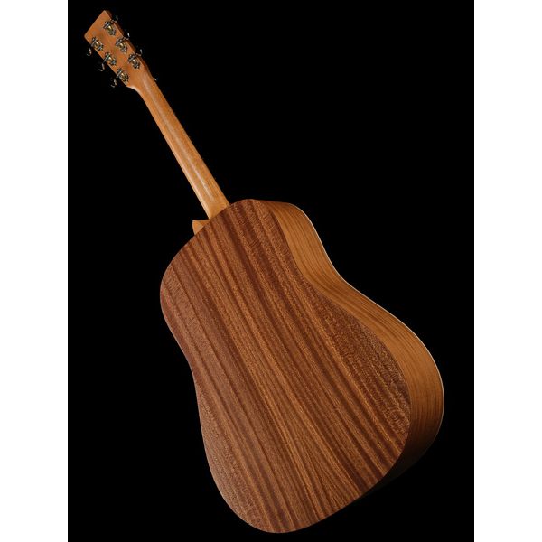 Martin Guitar D Biosphere III