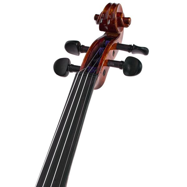 Eastman Albert Nebel Violin VL601G+