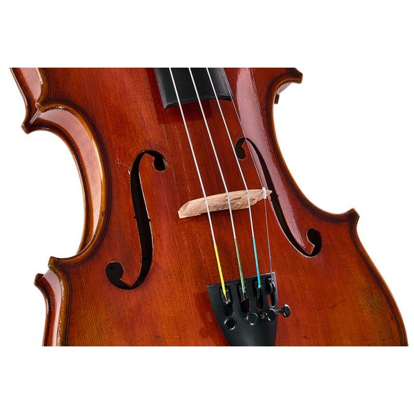 Eastman Albert Nebel Violin VL601G+