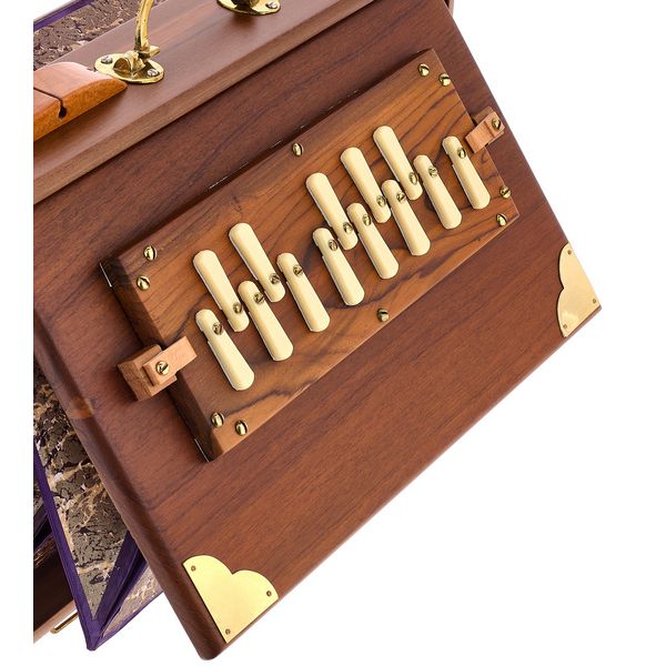 Thomann Nataraj Shruti Solid Teak w.P.