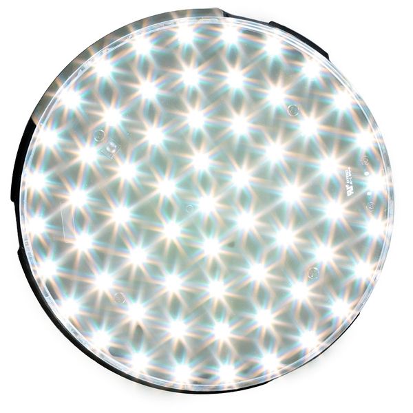 Nexus Lights Nexus Circle