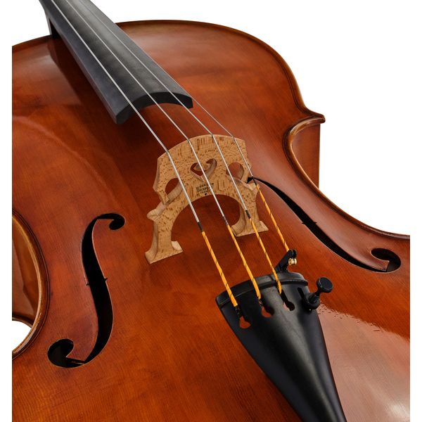 Eastman Albert Nebel Cello VC601G+ 4/4