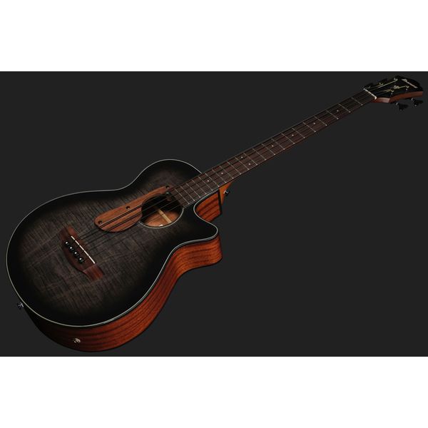 Ibanez AEGB25E-TKH