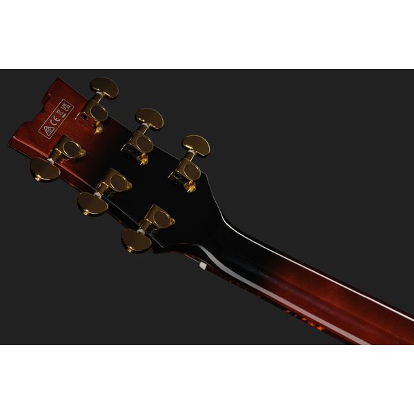 Ibanez AMH100FM-DVS