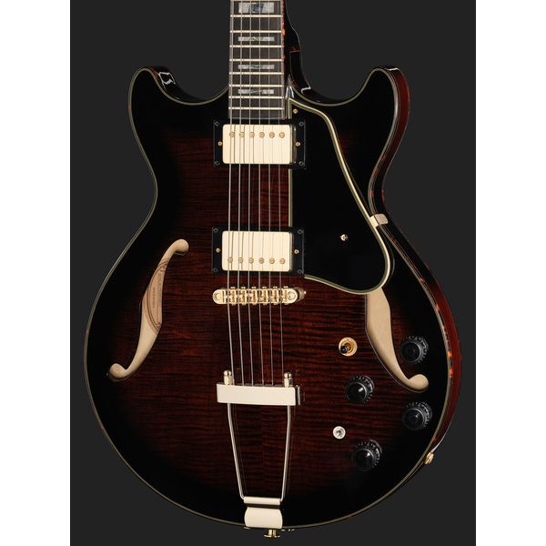 Ibanez AMH100FM-DVS
