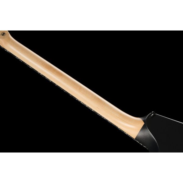 ESP Edwards E-AL-166 BLACKY