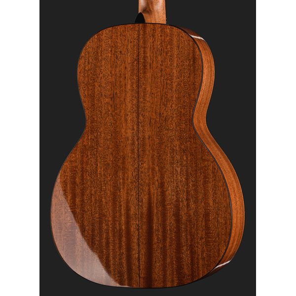Martin Guitar C.F. Martin IV Custom Shop 00