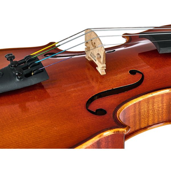 Artino European Wood Violin Set 4/4