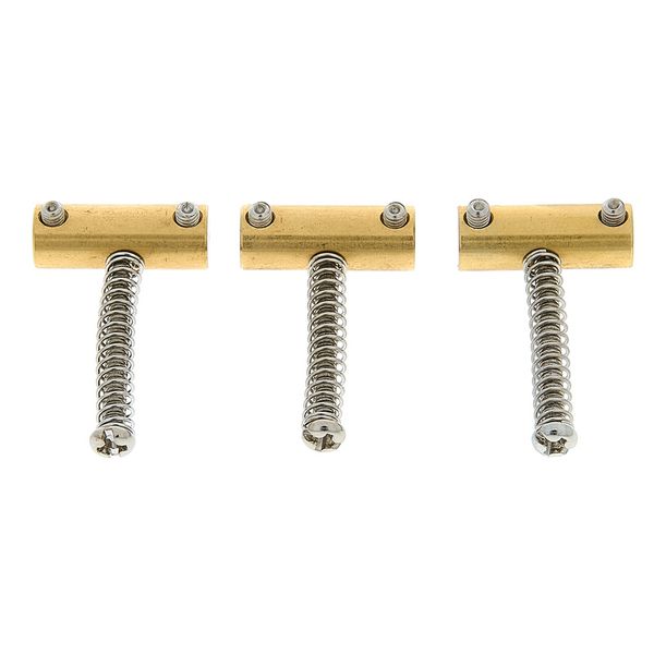 Guitar Monkey EvoComp Brass Tele Set