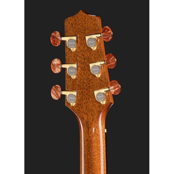 Takamine DSF48C