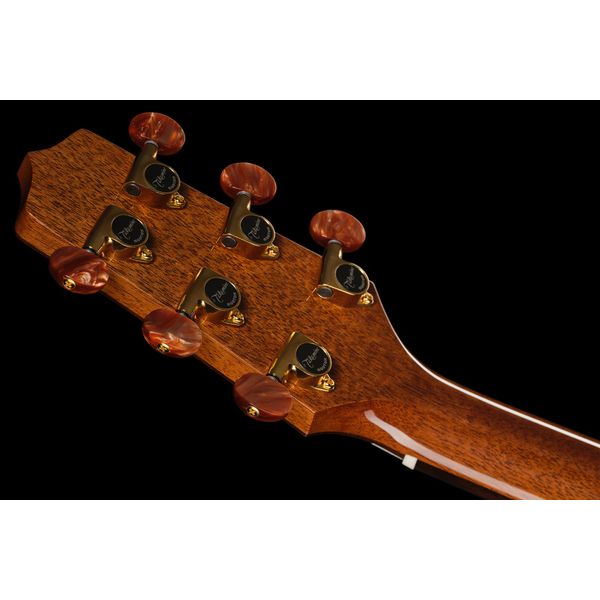Takamine DSF48C