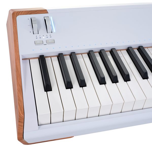Arturia AstroLab 88