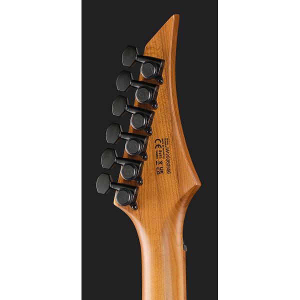 Solar Guitars A1.6FDPB-FF Flame Purple Burst