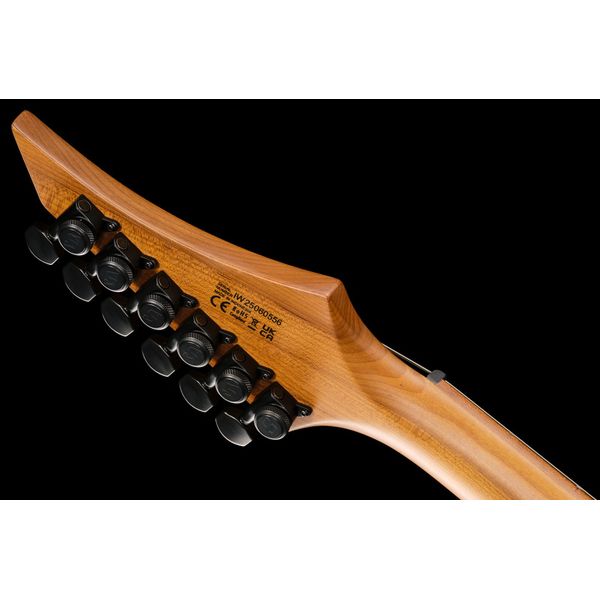 Solar Guitars A1.6FDPB-FF Flame Purple Burst