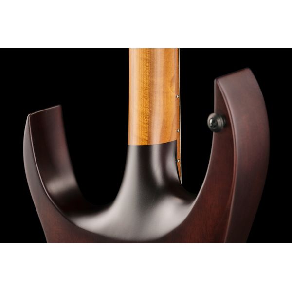 Solar Guitars A1.6FDPB-FF Flame Purple Burst