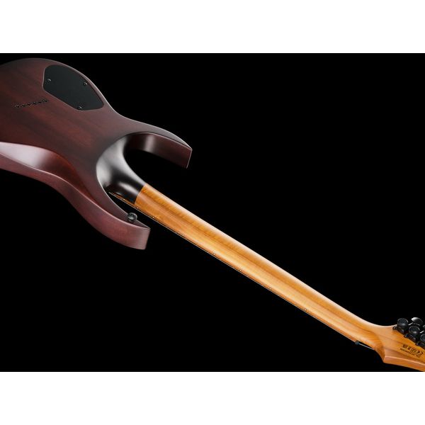 Solar Guitars A1.6FDPB-FF Flame Purple Burst