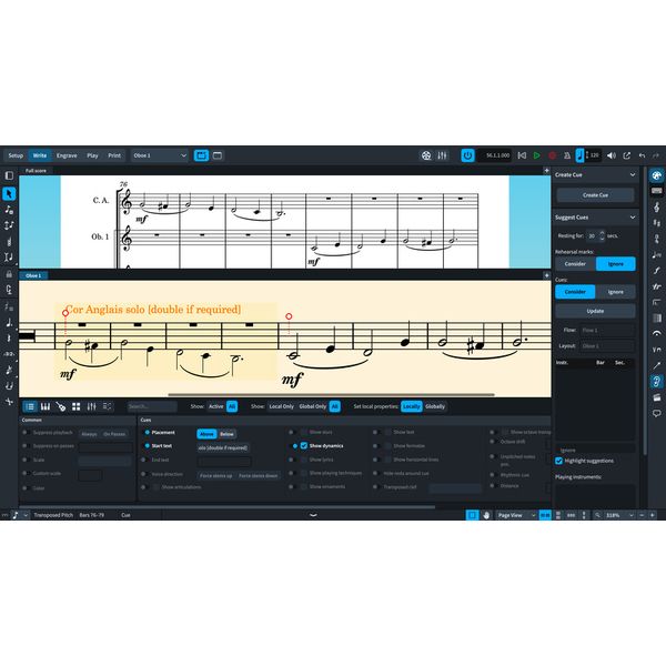Steinberg Dorico Elements 6 EDU