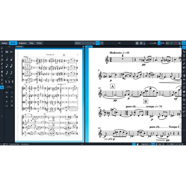 Steinberg Dorico Pro 6 EDU Crossgrade