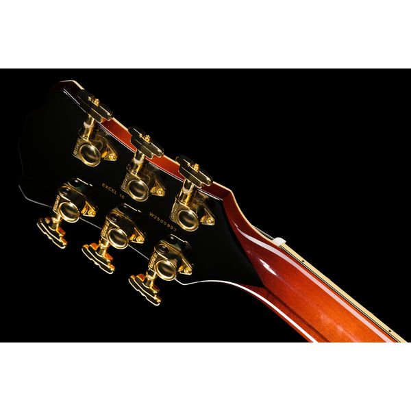 DAngelico Excel 16 Amaretto Burst