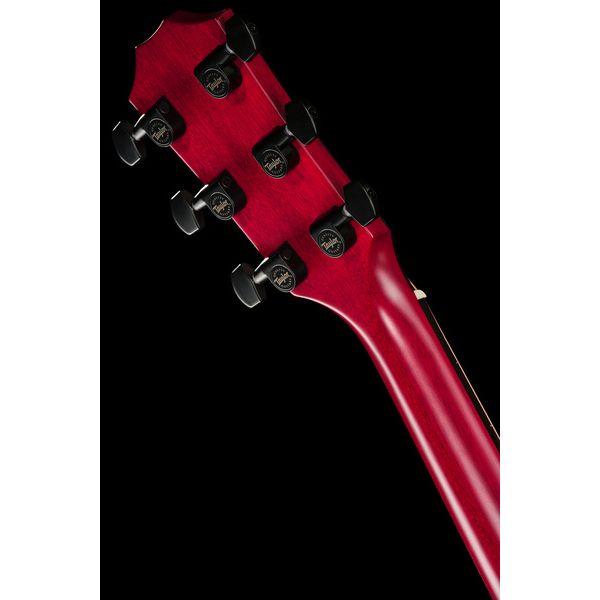 Taylor 224ce Plus Special Edition TR