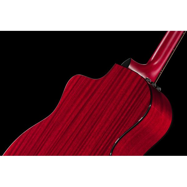 Taylor 224ce Plus Special Edition TR