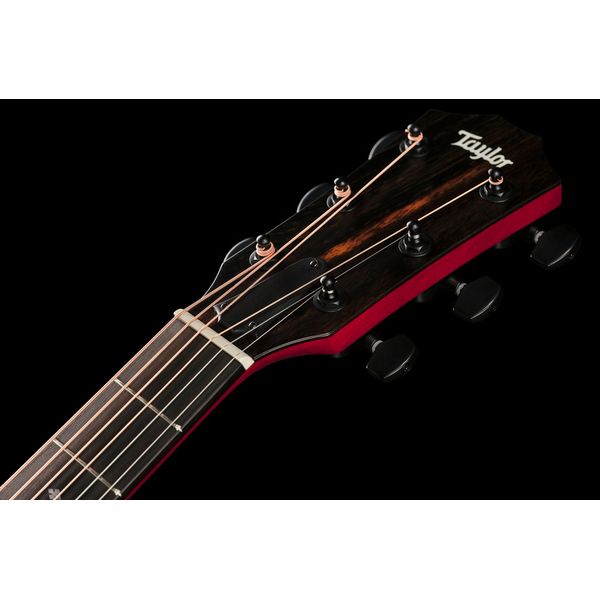 Taylor 224ce Plus Special Edition TR