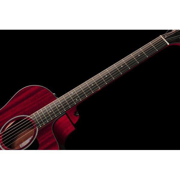 Taylor 224ce Plus Special Edition TR