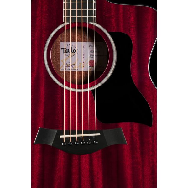 Taylor 224ce Plus Special Edition TR
