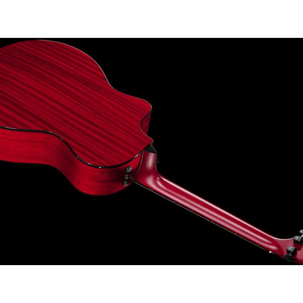 Taylor 224ce Plus Special Edition TR