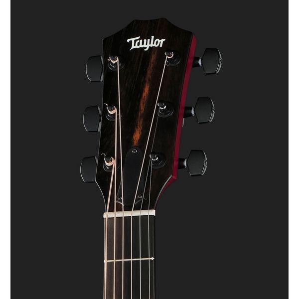 Taylor 224ce Plus Special Edition TR