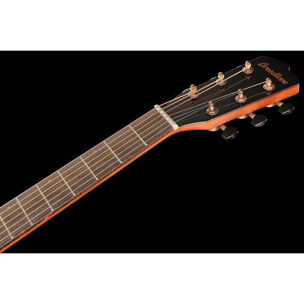 Breedlove Pursuit Ex. S Drdn Conc CE TE