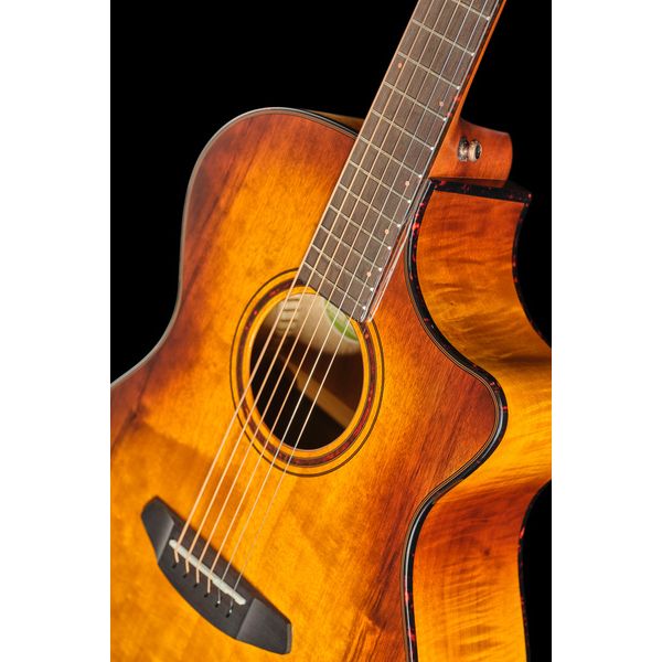 Breedlove Pursuit Ex. S Drdn Conc CE TE