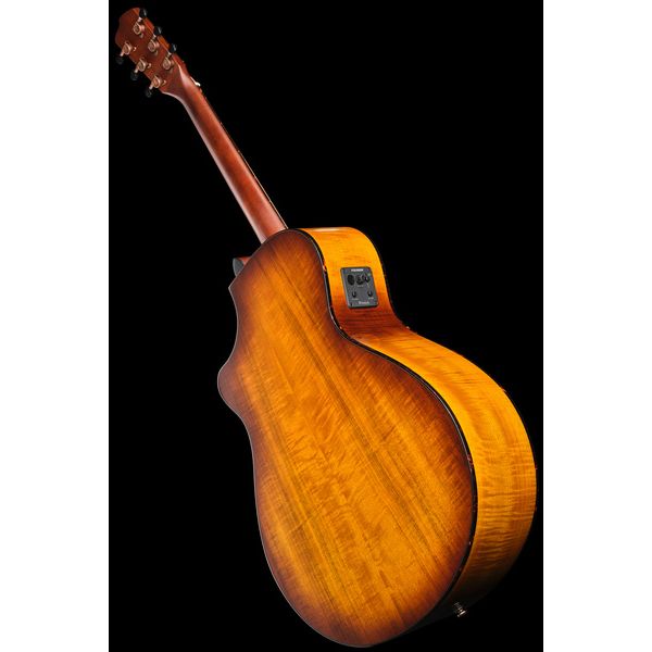 Breedlove Pursuit Ex. S Drdn Conc CE TE