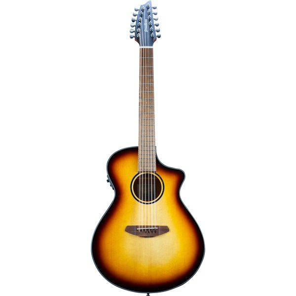 Breedlove Discovery S Conc 12-St CE EB