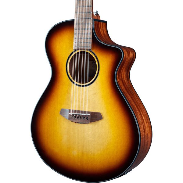 Breedlove Discovery S Conc 12-St CE EB