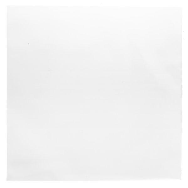 Reloop Premium 12“ Vinyl LP Sleeves