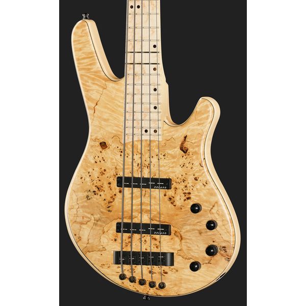 Franz Bassguitars Wega 5 Poplar Burl Premium