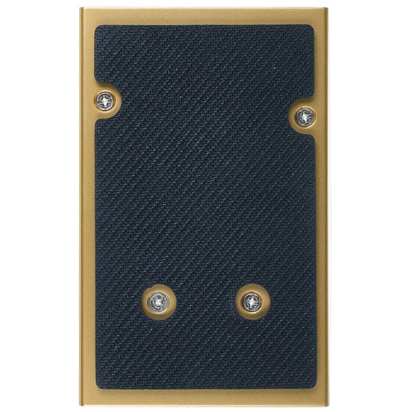 L.R.Baggs Para DI Gold Edition