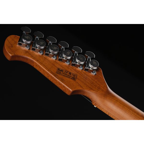 Harley Benton Fusion-IV HSS MN SGR