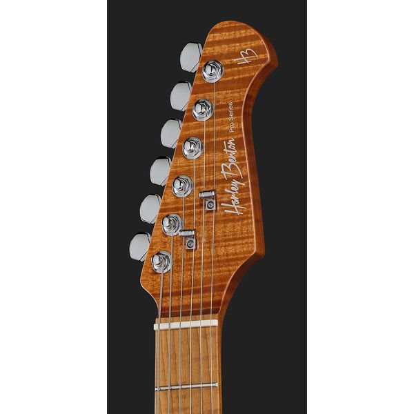 Harley Benton Fusion-IV HSS MN QRG