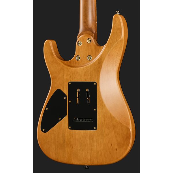 Harley Benton Fusion-IV HH MN SGD