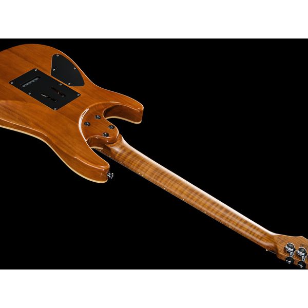 Harley Benton Fusion-IV HH MN FNT